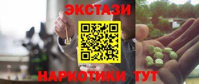 шишки Кингисепп